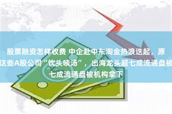 股票融资怎样收费 中企赴中东淘金热浪迭起，原因几何？这些A股公司“饮头啖汤”，出海龙头超七成流通盘被机构拿下