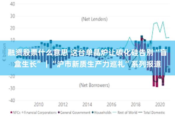 融资股票什么意思 这台单晶炉让碳化硅告别“盲盒生长”｜“沪市新质生产力巡礼”系列报道