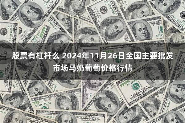 股票有杠杆么 2024年11月26日全国主要批发市场马奶葡萄价格行情