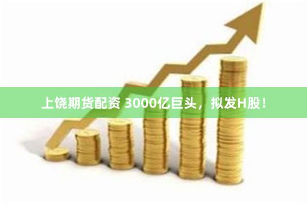 上饶期货配资 3000亿巨头，拟发H股！